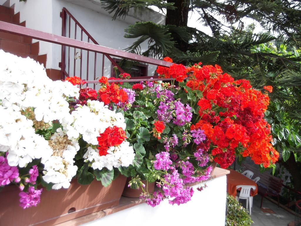 Casavacanzeinsicilia Etna Taormina Villa Piedimonte Etneo Room photo